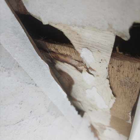 불만족스러운<br>비용과 품질?